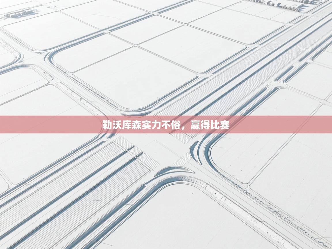 勒沃库森实力不俗,赢得比赛 第2张